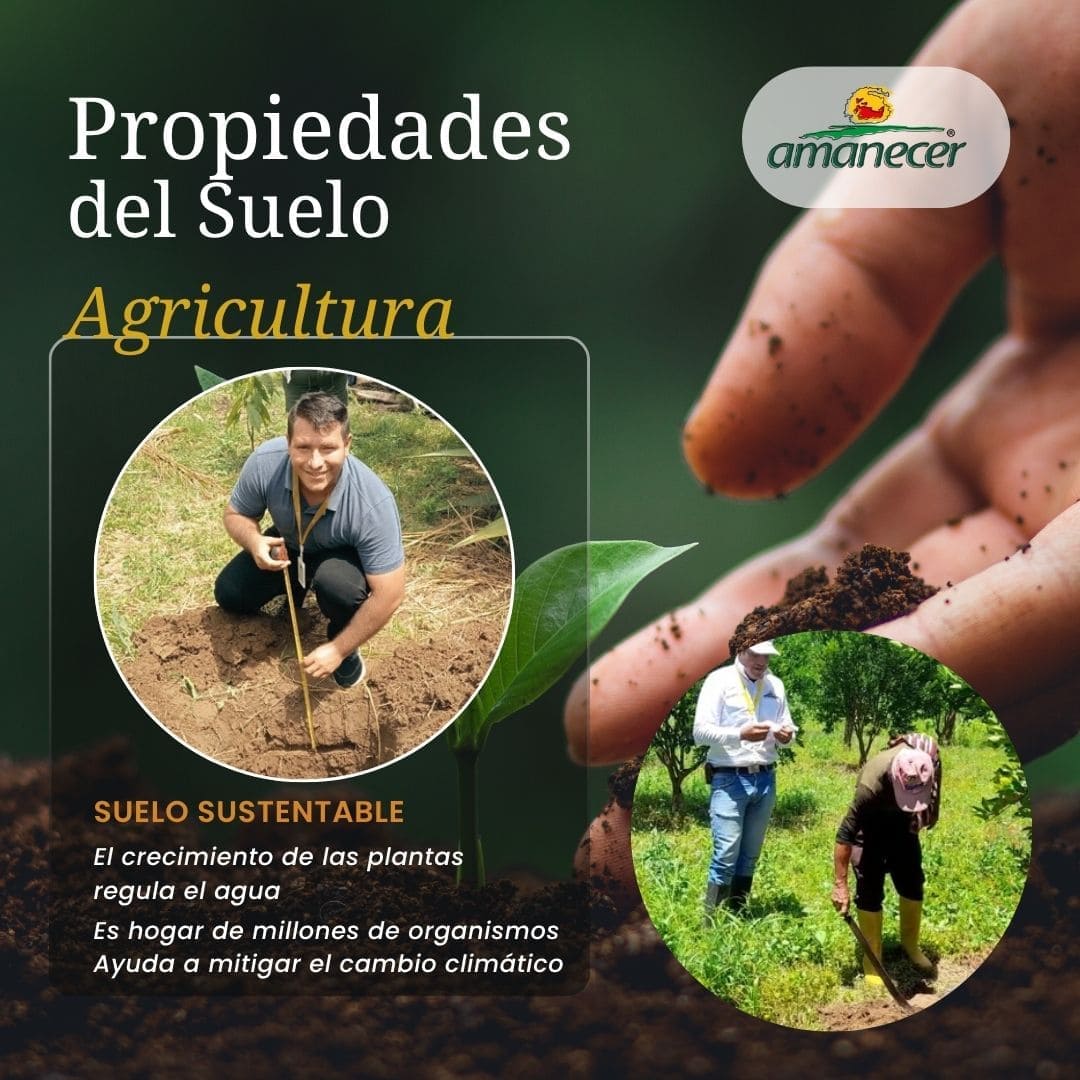 Propiedades del Suelo-