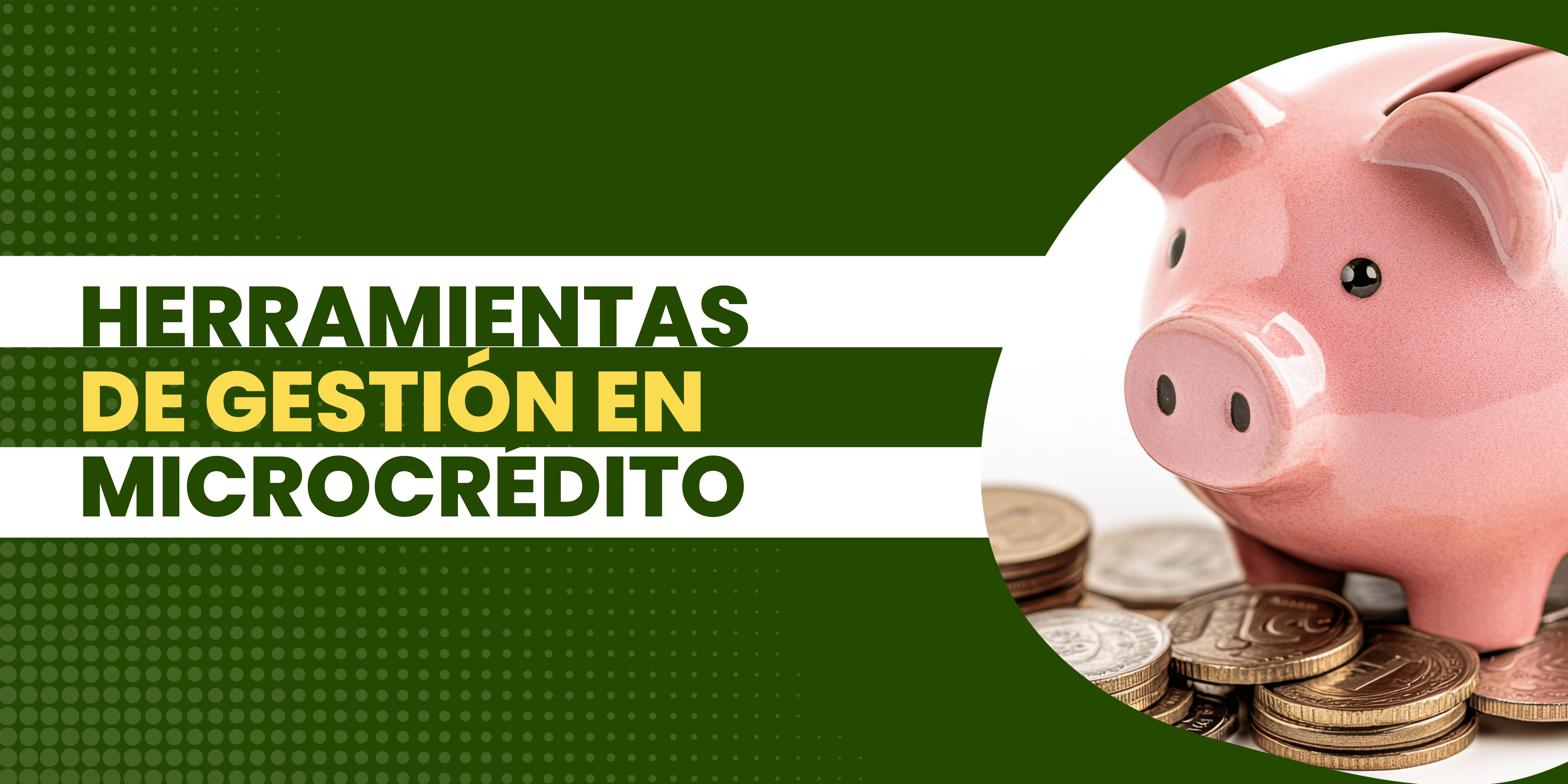 Herramientas de gestión en microcrédito